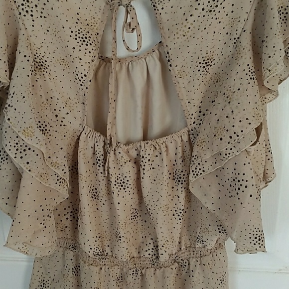 American Star top - Picture 3 of 4